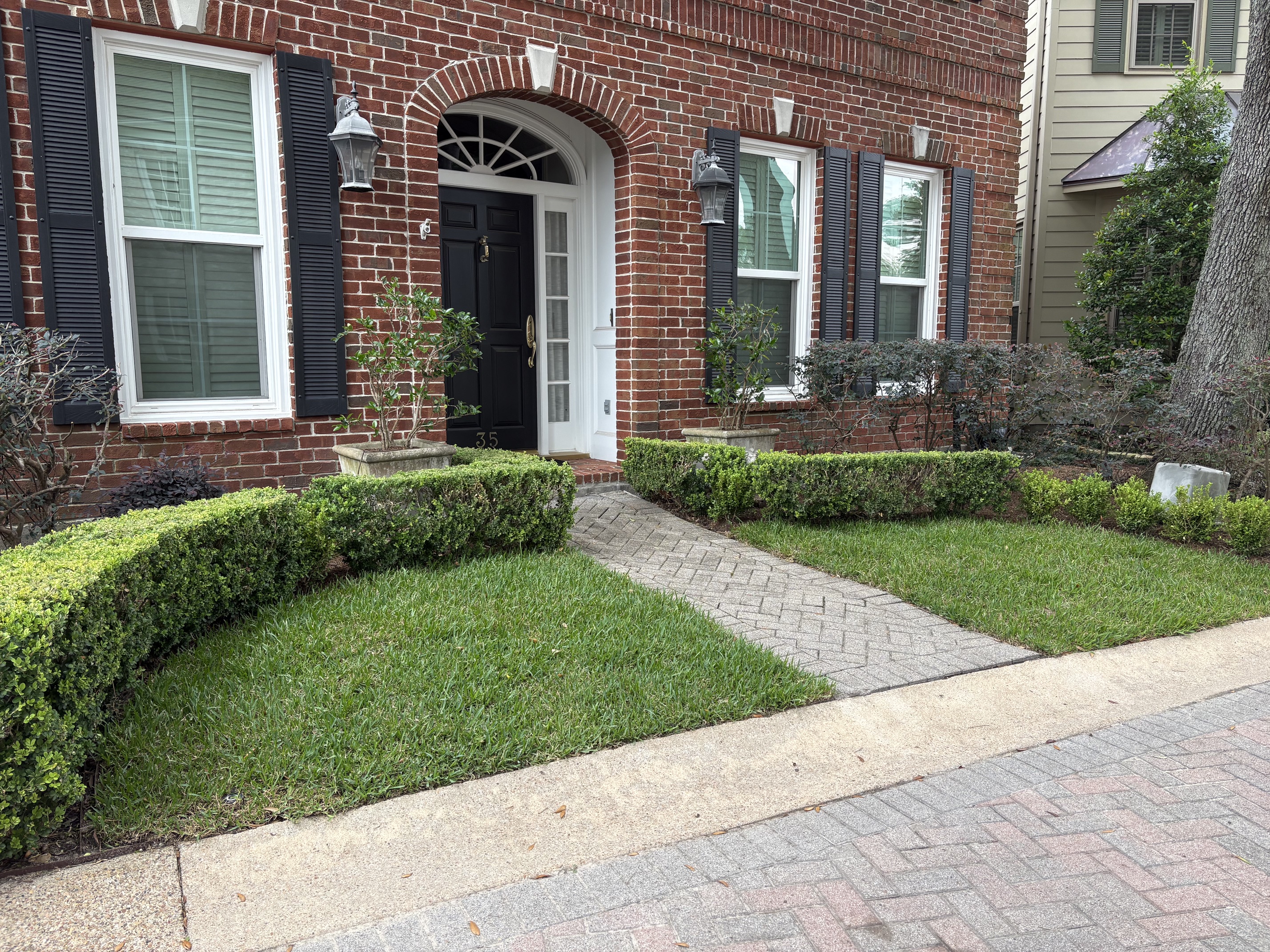 The same front entry after installation with fresh sod, reset hedges, and clean edging