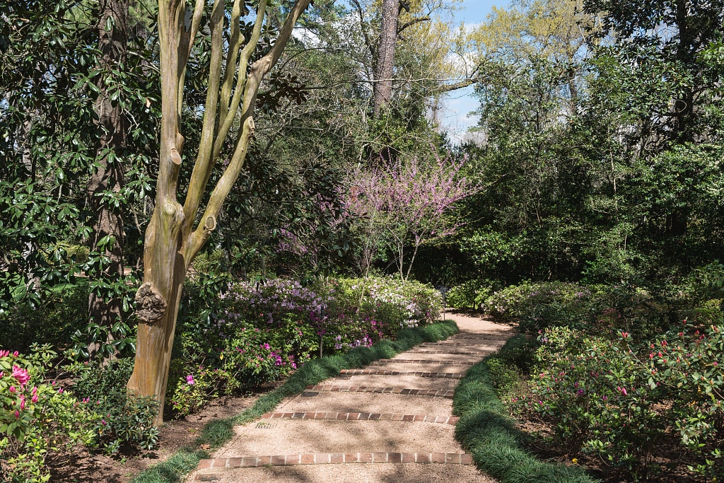 A pleasant path at the Bayou Bend Collection and Gardens, Houston