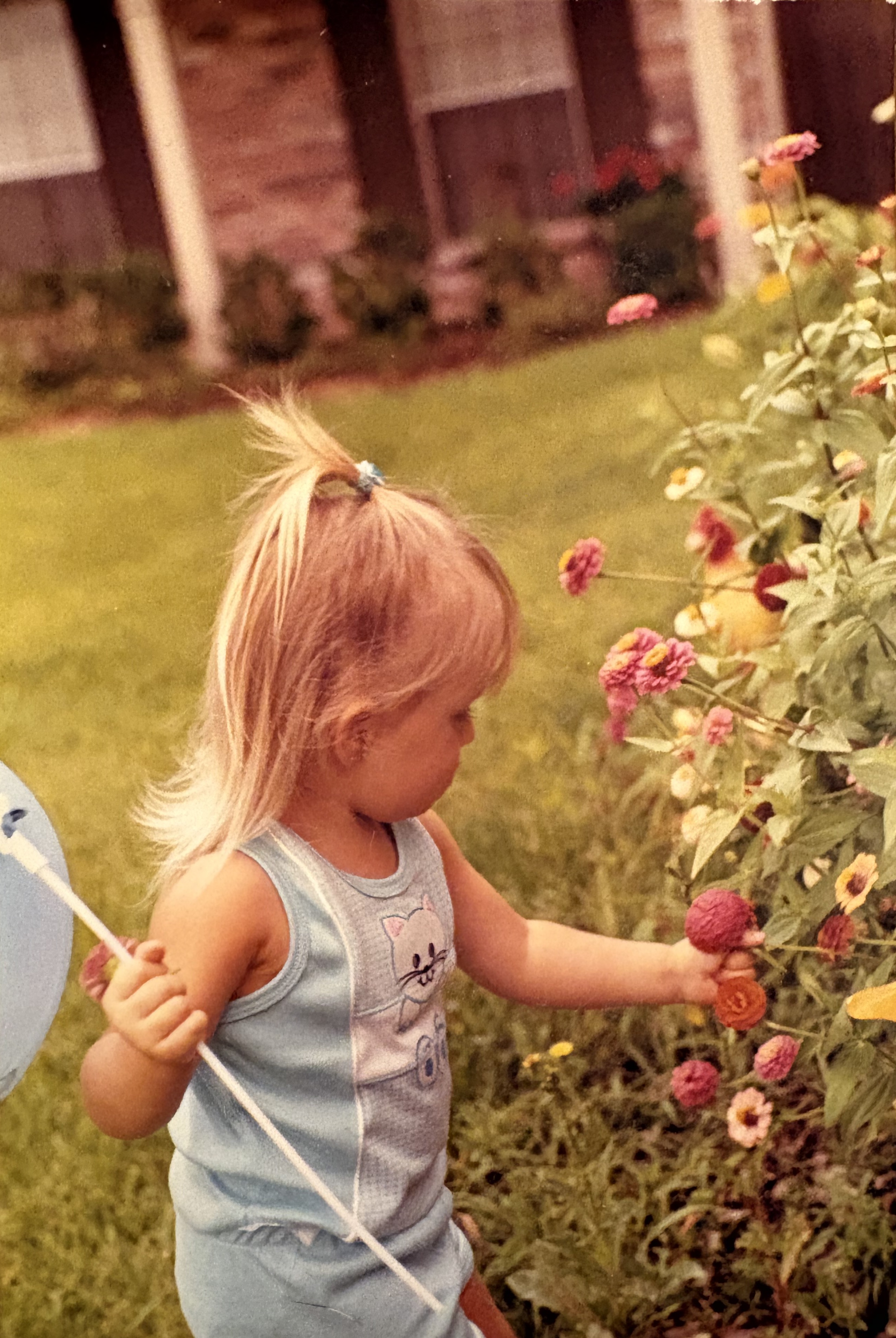 Katherine as a small child, bending toward a bed of zinnias with a balloon in hand
